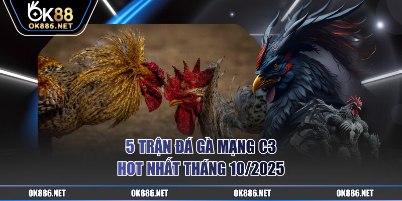 5 trận đá gà mạng C3 hot nhất tháng 10/2025