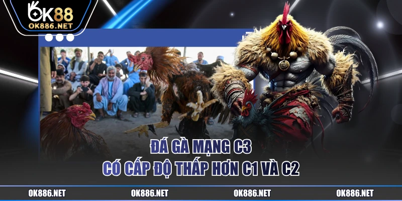 Đá gà mạng C3 có cấp độ thấp hơn C1 và C2