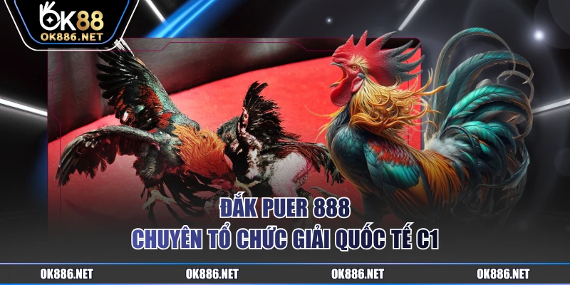Đắk Puer 888 chuyên tổ chức giải Quốc tế C1