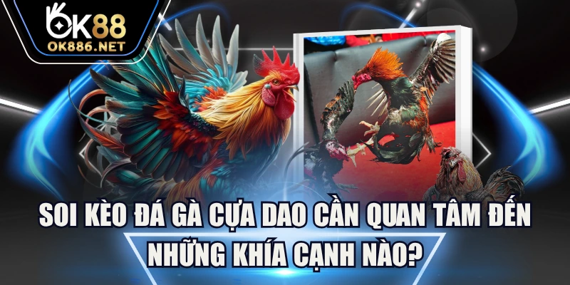 Soi Kèo Đá Gà Cựa Dao